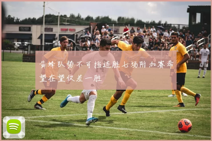 黄蜂队势不可挡连胜七场附加赛希望在望仅差一胜